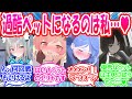 【SS】生徒たちが先生の過酷処理のためだけに生きる過酷ペットの座を求めて戦争が起きた世界線に対する先生たちの反応【ブルアカ・ブルーアーカイブ・ブルアカ反応集】