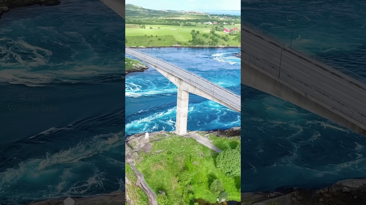 Beautiful & Unique Tourist Destinations | Rajat's Wildlife Tales | 