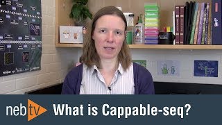 What is Cappable-seq?