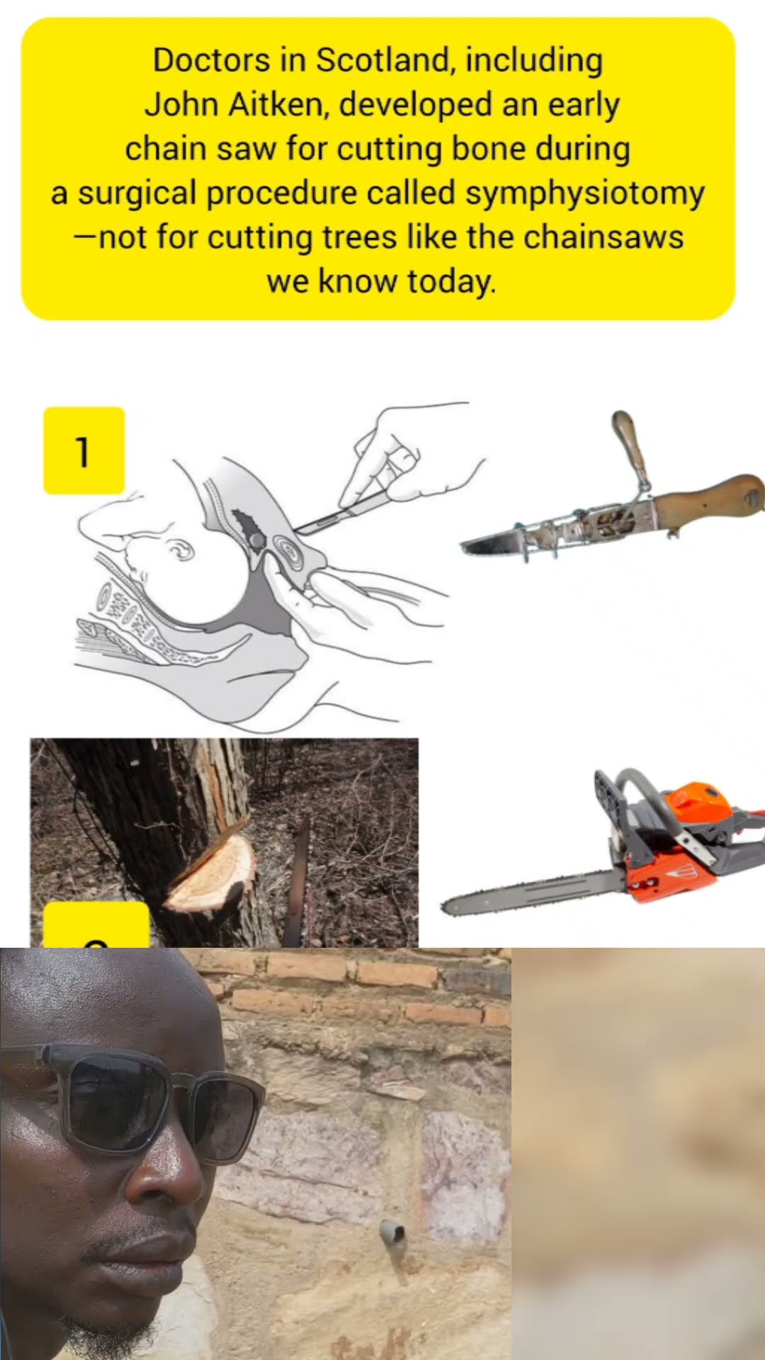 They Used This to Cut… Humans Before Trees?!