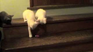 Wind up mouse