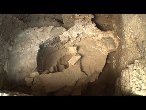 Video: Jak Se Tráví Den Archeologa