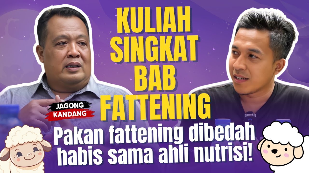 BEDAH TUNTAS PAKAN FATTENING || Yuk segera gabung grup WhatsApp YIB Farm Berbagi Ilmu