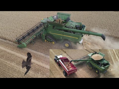 JOHN DEERE S685i & FENDT 724 mit Horsch Überladewagen bei der Getreideernte 2022 / 4K