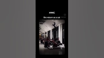 A random video from my Reels feed #48 #shorts