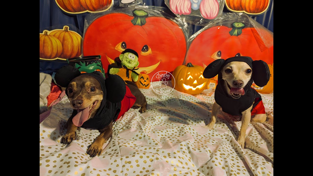 Haunted Riverside City College | Ep 182 | Chewby & Snow White 😎 