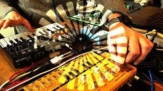 Jamuary 2021, 22 - MicroFreak, TD-3, TR-8 Acid Techno House Live Improv Jam