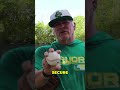 Master Youth Baseball Grip: Secrets to a Powerful Throw! #shorts #baseball #baseballszn #golf