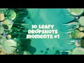 Most satisfying shot # Dropshot moments