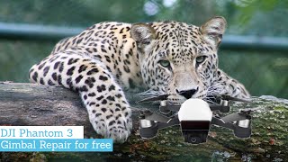 Top 5 Drones Vs Animals Ep2