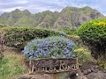 Kualoa Ranch ATV Tour