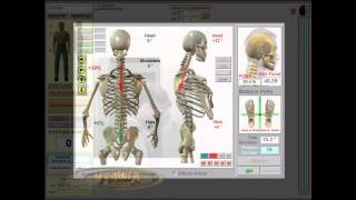 New Drawing Tools Added to Posture Pro 8e