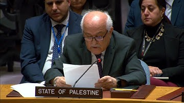 UN Security Council resolution 