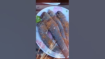 Bắt cá thòi lòi trong lộp – Nướng muối ớt giữa rừng đước!