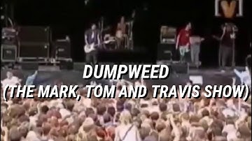 Blink-182 - Dumpweed (The Mark, Tom And Travis Show) / Subtitulado