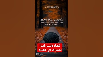 القرآن الكريم #دويتو #اكسبلور #duet #تيك_توك #لايك #في #فولو #راحة_نفسية #ترند #رمضانمبارك