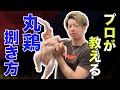プロが教える丸鶏の捌き方