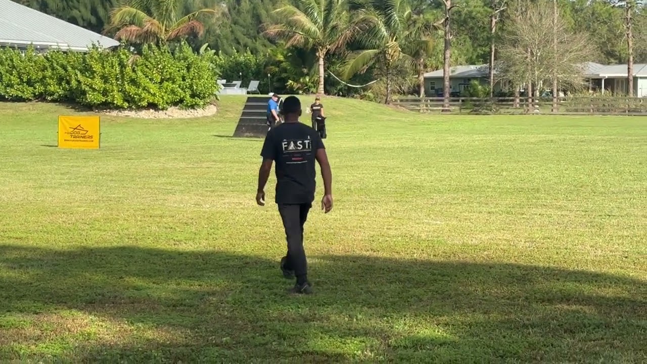 Coudy Jirka IGP1 Obedience 98 pts