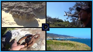 Fossils & Finds Exploring Fisk Mill Cove California Coast  By : Quest For Details