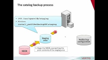 understanding Netbackup catalog