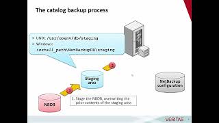 Famous understanding Netbackup catalog Net Worth