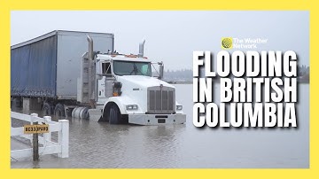 Abbotsford Farmers Face Devastation After Second Major Flood in Fraser Valley