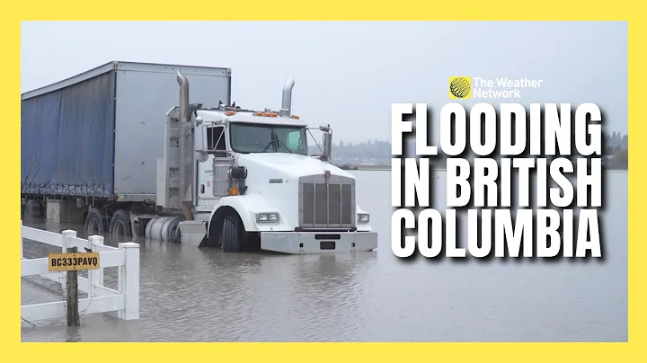 Abbotsford Farmers Face Devastation After Second Major Flood in Fraser Valley
