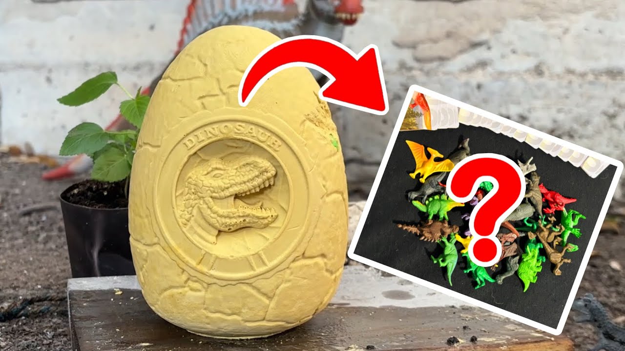 24 Mini Dinosaurs egg dig kit toy review 