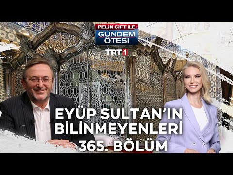 Video: Yanlışlıkla Tutuklu Adam ve Hapishanesi Yavrularının Özgürlüğünün Keyfini Çıkarma