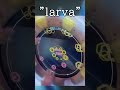 larvaの例の所の運指提案【maimaiでらっくす】