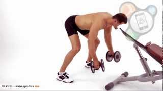 Reverse fly with dumbbells and head supported on bench