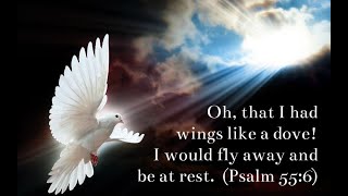 Download lagu Tak Seekor Burung pun Jatuh (cover) by Candy Rose