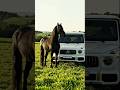 g wagon pahado me chale gayi #1000subscriber #amanraj_gill #songs #viralshorts