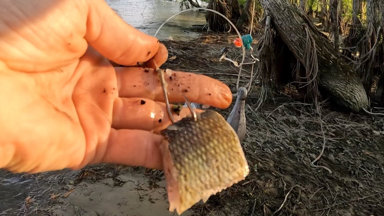 Unexpected Double, Fishing For Catfish YouTube