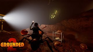 Buggy Mount | Where To Find Red Soldier Ant Egg In Hatchery Anthill South Entrance | Grounded 2