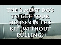 THE 3 MUST DO’S TO GET YOUR HORSE ON THE BIT (WITHOUT PULLING) - Dressage Mastery TV Episode 155