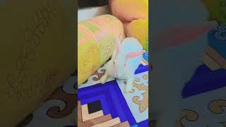 amar sona honey maa#like and subscribe please#animal lover ruhi🤍🐇.