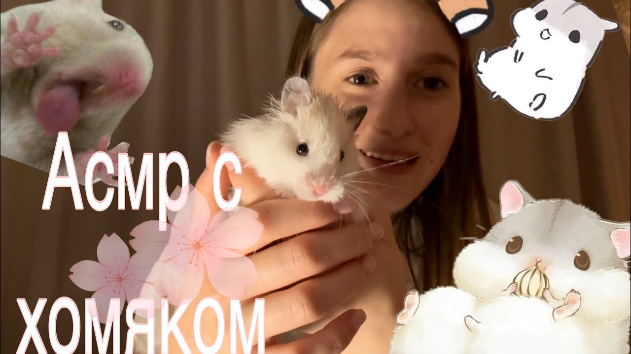 Болталка перед сном👐🏻 с моим хомячком 🤍 🥹