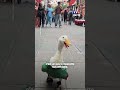 🦆🇲🇽 Merlin le canard, star des réseaux, a été reçu par la présidente du Mexique !｜TF1 INFO