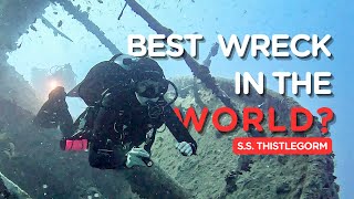 EXPLORING THE BEST WRECK IN THE RED SEA || Thistlegorm + Ras Muhammad National Park