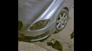 DJ ZK3 - AUTOMOTIVO ANGELICAL V4 [PHONK REMIX] [TIKTOK VERSION] LEON EDITION