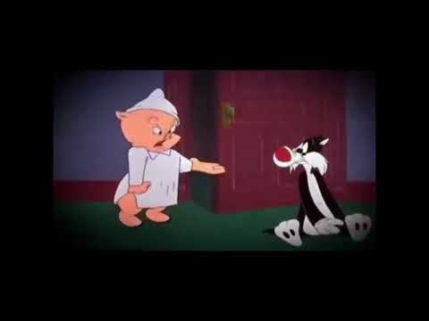 Porky pig wants sylvester to get out of his house (for @PacoCasagrandeTheParrot)