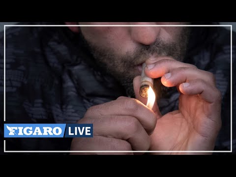 Vidéo: Fumée Sur Le Parc