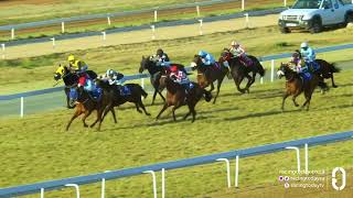 ICONIC WINTER - RACE 8 #turffontein 16-08-2026