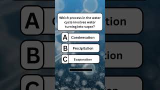Which process in the water cycle involves water turning into vapor#quiz #education #mindbendingquiz