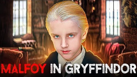 What If Draco Malfoy Was Sorted Into Gryffindor