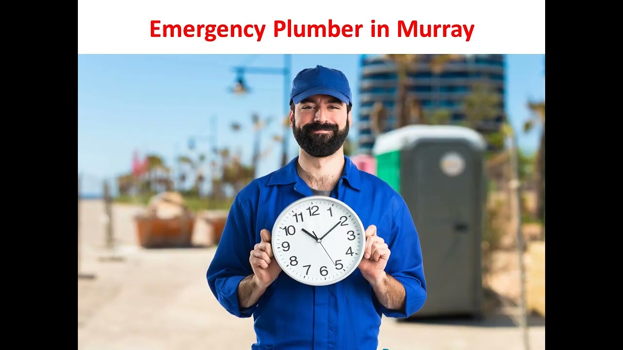 ⁣True Peak Plumbing Inc. : #1 Emergency Plumber in Murray, UT