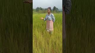 En Ninghay Pyar Nu Manjkan Diwana Sanam kurukh Song