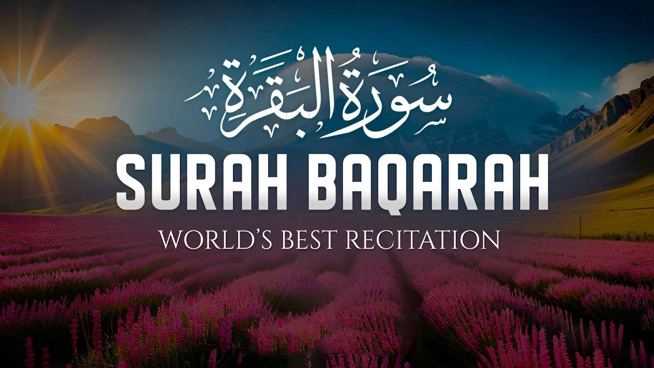 سوره البقرة   كامله بصوت الشيخ ماهر المعيقلي بدون إعلانات