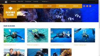 Diving Responsive Website Template